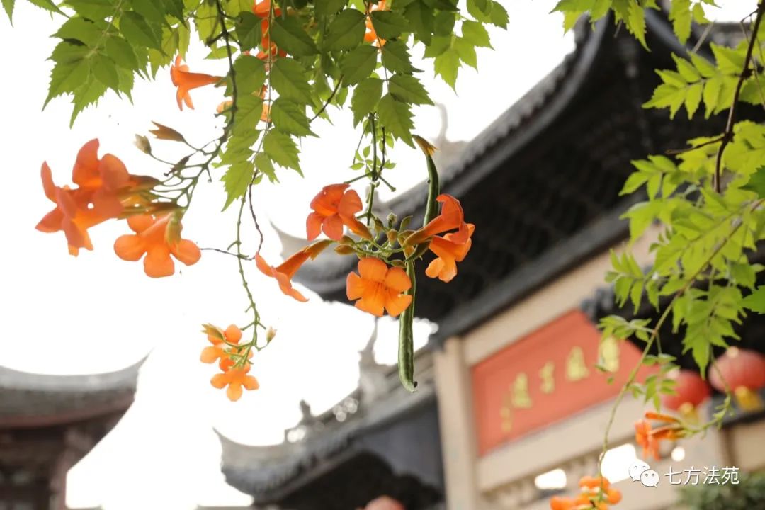 1660187624535086.jpg 640.jpg