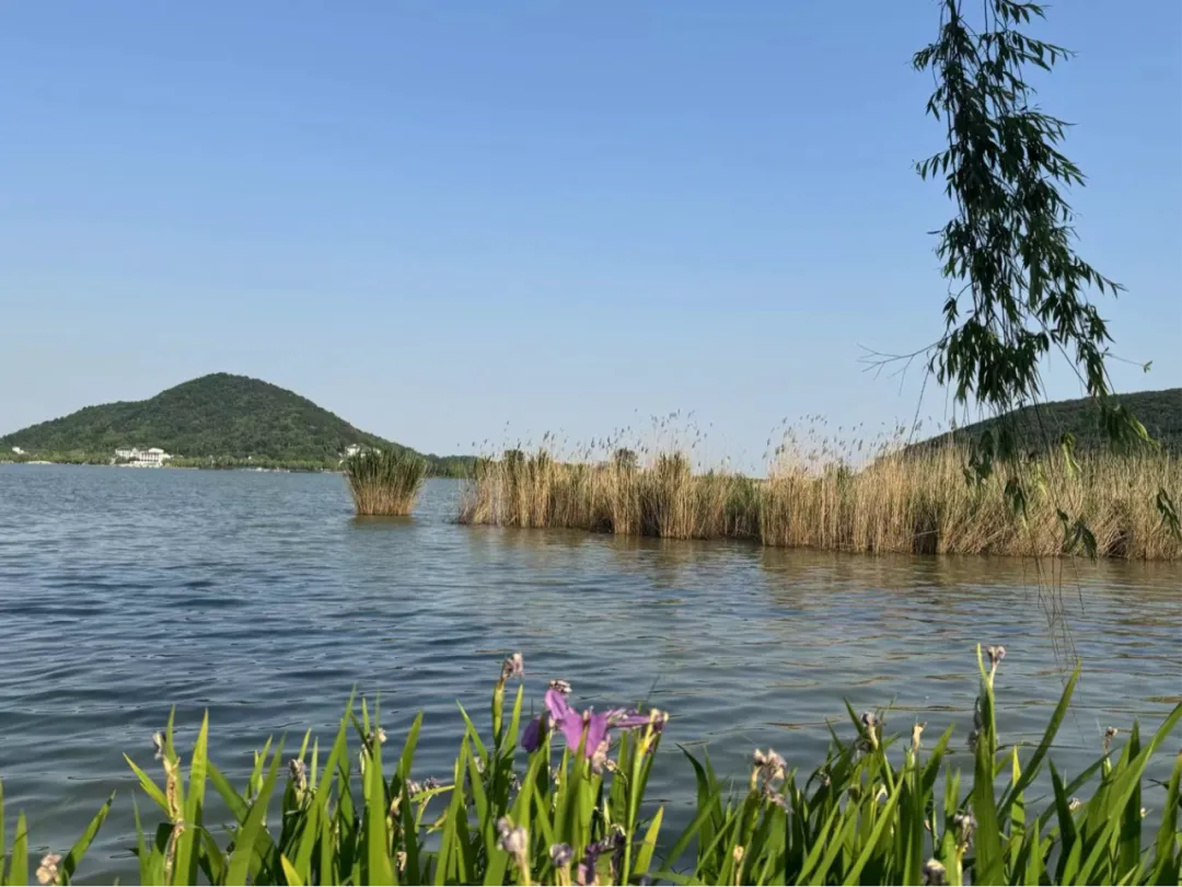 1716449390309481.png 640.png