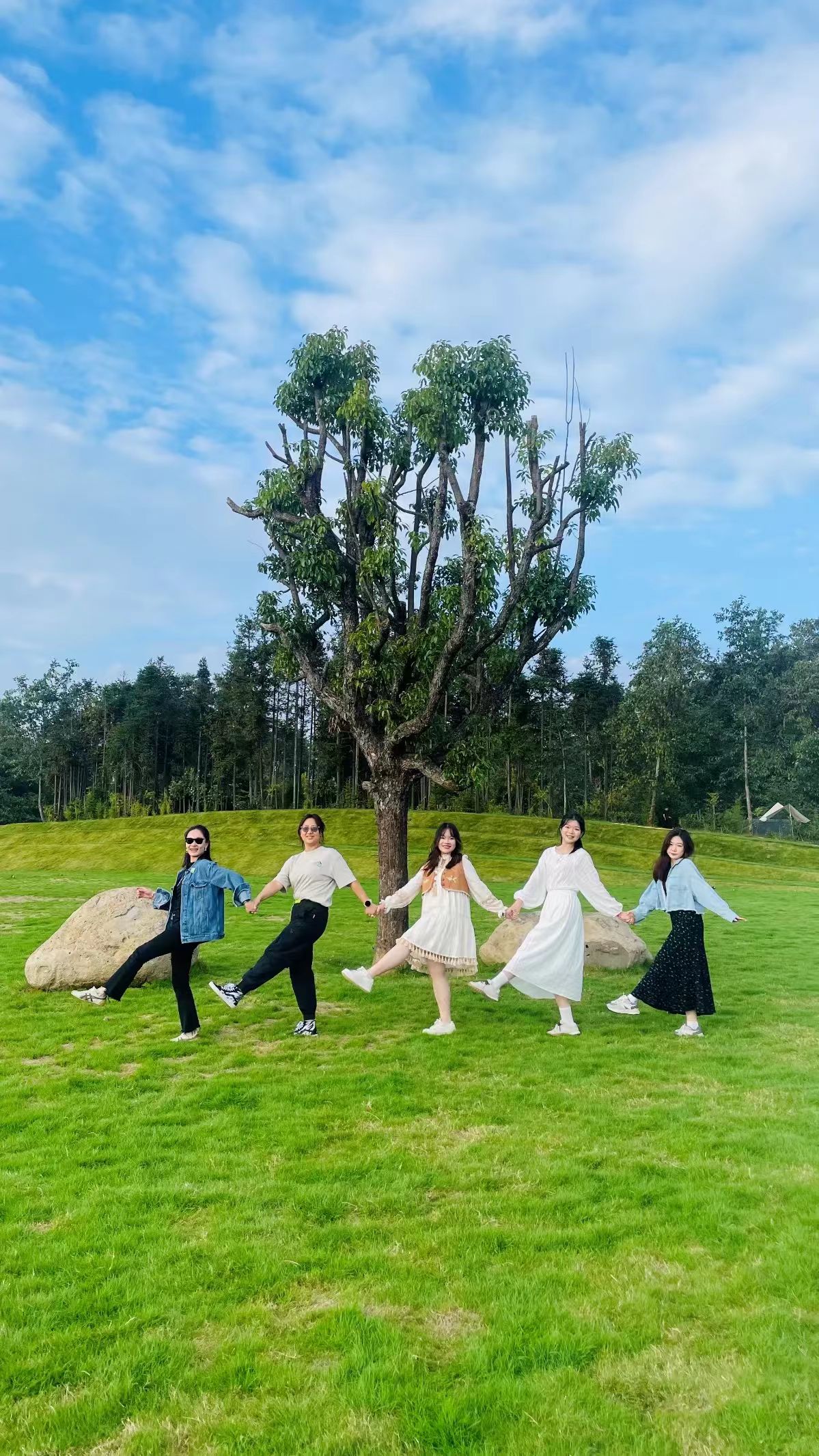 1730858447953680.jpg 861489723c7b81435e7467df4f90305.jpg