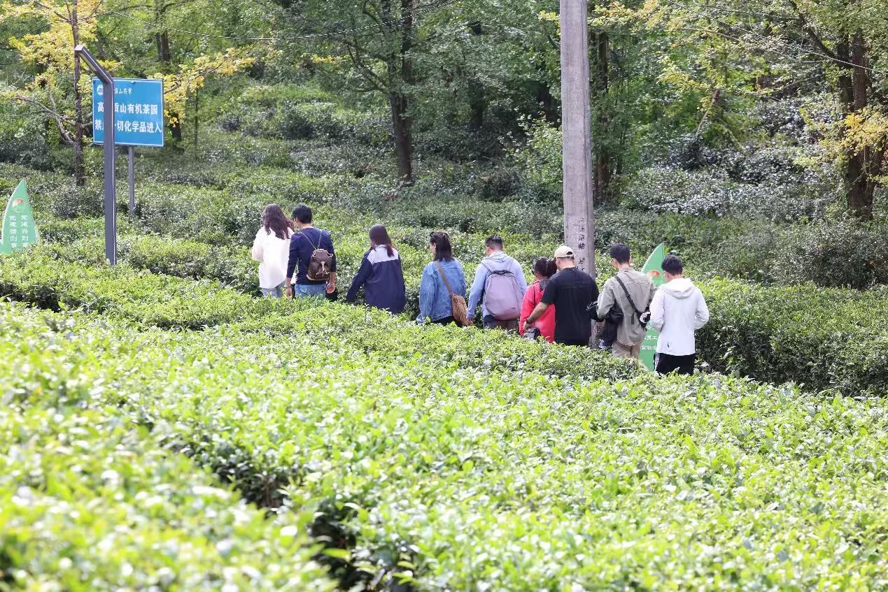 1730858465259135.jpg 0842d68dc43ddd300bf6208e7a4d9dc.jpg