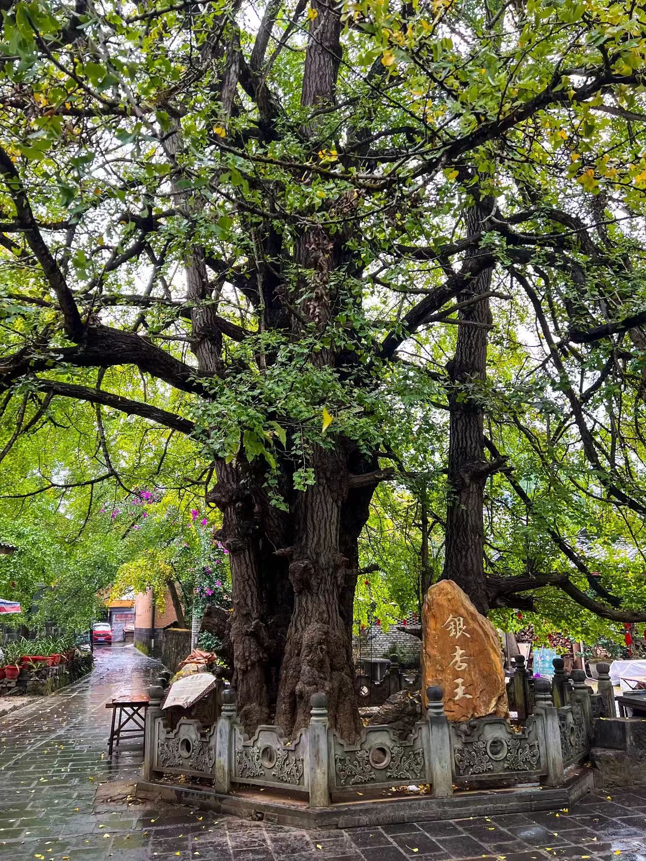 1730858627996243.jpg c2536c5925768b059ea8f7944e583f3.jpg