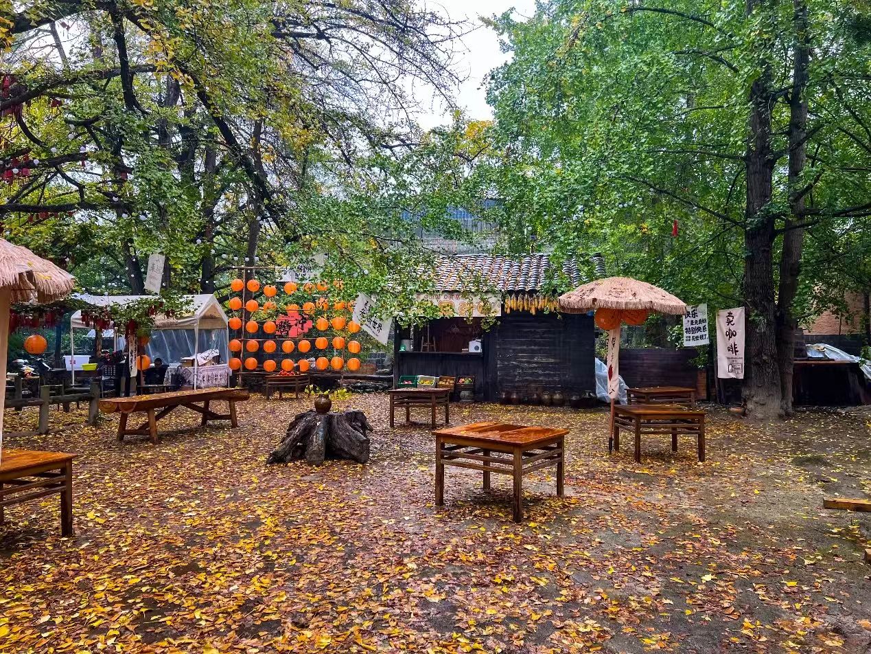 1730858642428871.jpg 230e8f6f33f44fafe318183024dcb1b.jpg